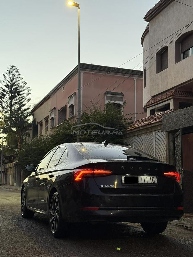 Skoda Octavia business, model 2023.
