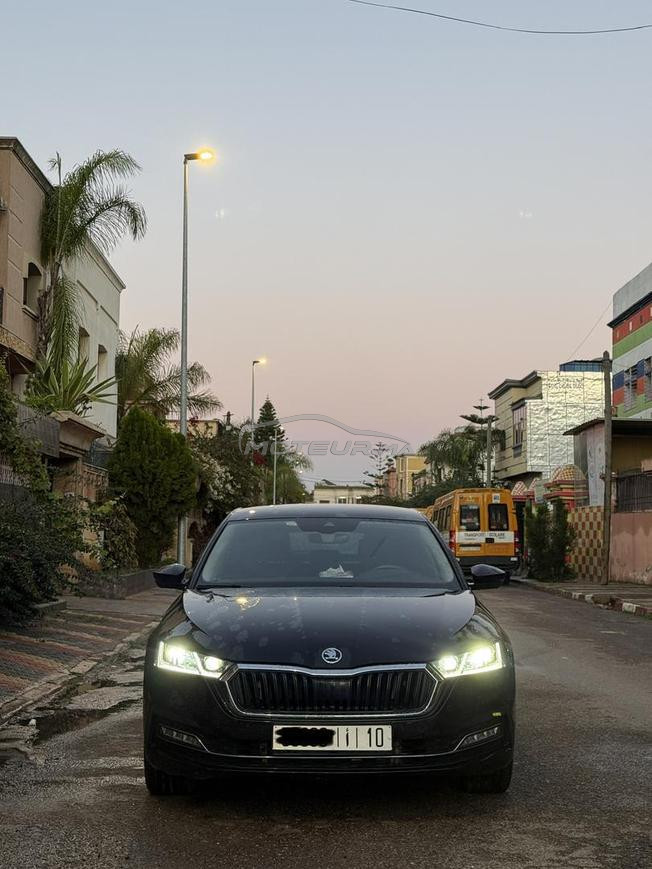 Skoda Octavia business, model 2023.
