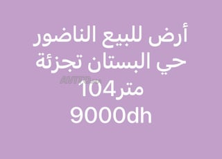 Terrain à vendre Nador Al Boustane