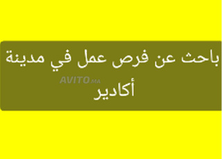 باحث  تدريب  قبل التوضيف 