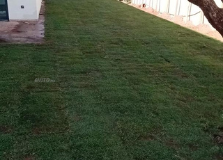 Jardinier paysagiste