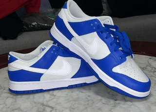 Nike Dunk retro Originals