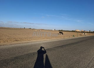 أرض بير جديد، لغديرة