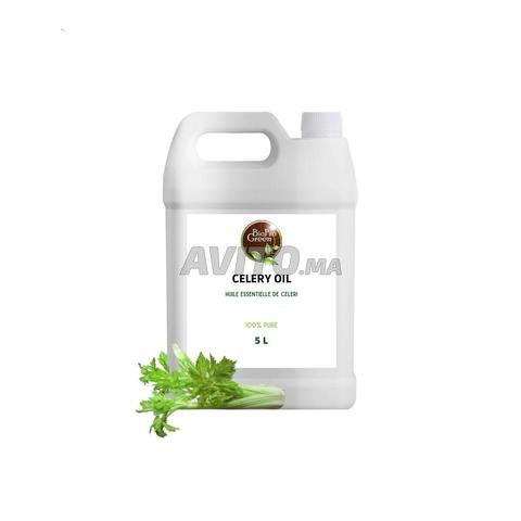 زيت الكرفس العطري زيت الكرفس