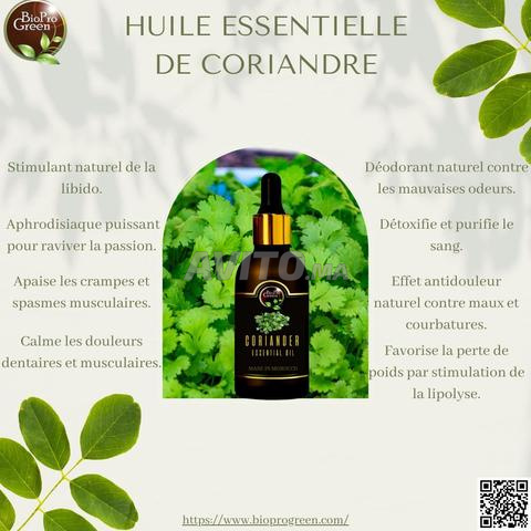 huile essentielle de coriandre زيت الكزبرة - 2