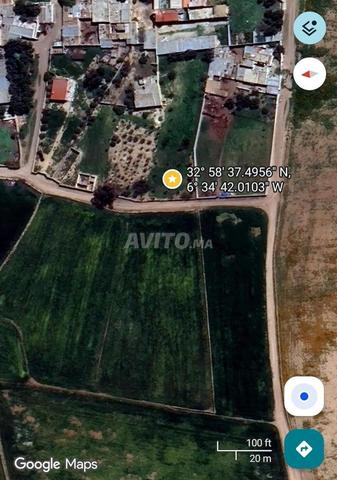 أرض ذات رسم عقاري 8000 متر مربع (4 خدام) واد زم