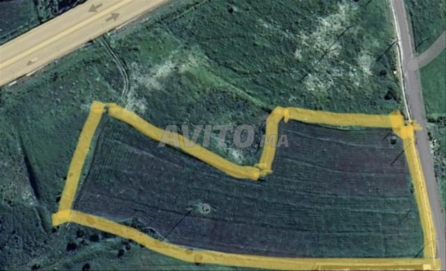 Terrain titré à vendre près de Tanger - Zone Al Hokama