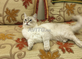 Marrakech Bienvenue à tous