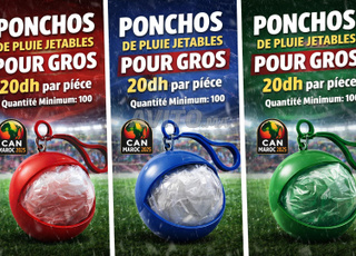 Prix de gros 20Dh, quantité minimale 100