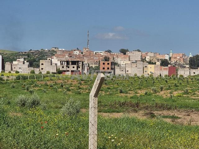 5 هكتارات منطقة ذات سند ملكية R زائد 2