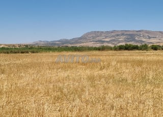 ferme de 2,5 hectares titré très bien équipée