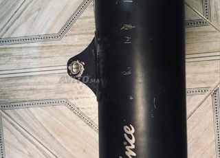 Pot LeoVince original avec chicane