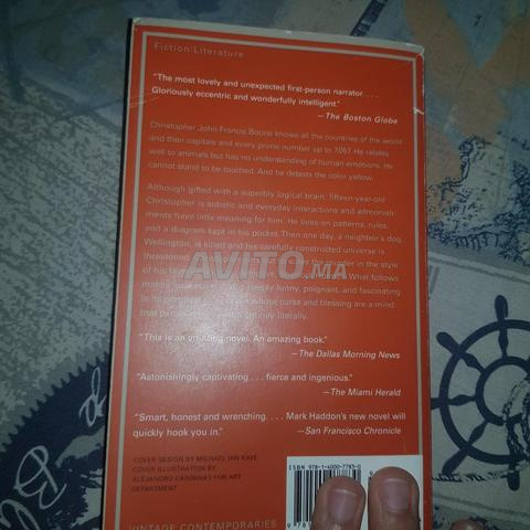 Livre the curious incident of the dog in the night - 2