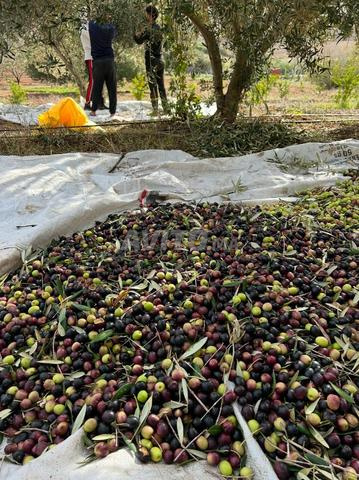 Terrain titré sur route goudronnée - 2