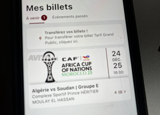 Vends 1 billet catégorie 2 Algérie - Soudan