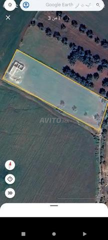 3000 متر للبيع تيتر محافظة