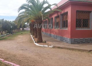 Ferme titre 2ha kamouni