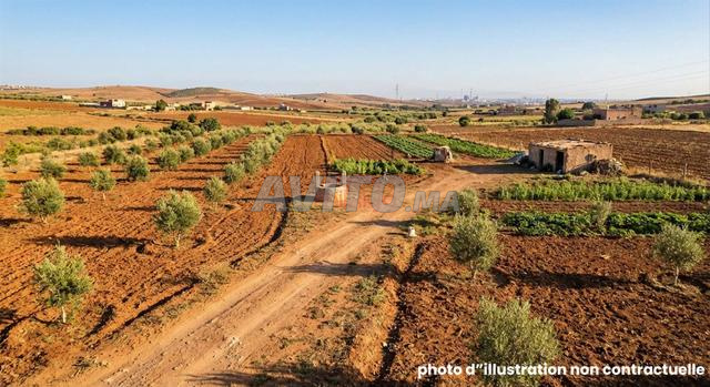 Location Terrain agricole de 17000 m2 à Oulad salah