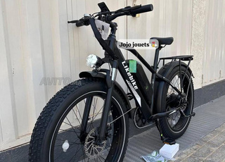 Vélo Électrique Likebike Lander Ebike Pro 48V