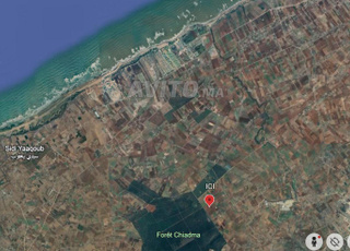 Terrain 1 hectare à vendre – Proche route et mer