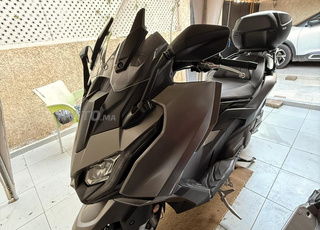 AK premium 550 -2024