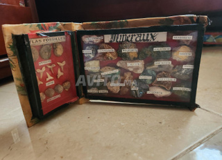 Atlas fossile et minéraux