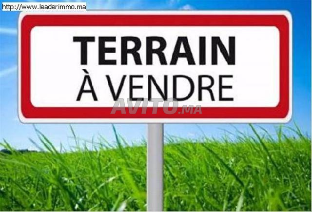 Terrain 530 m2 bien placé à targa