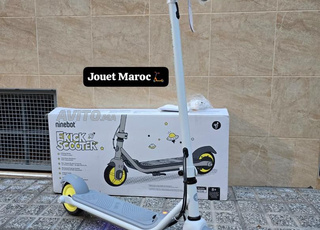 Trotinette pour enfants NINEBOT ZING C10🔥