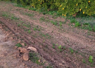 Terrain agricole à vendre