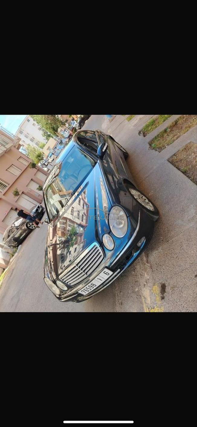 sidi bozid