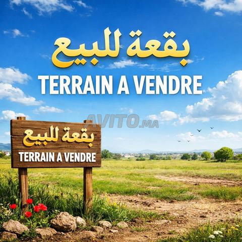 Terrain à vendre pour construction de villa à Oualili, Sidi Kacem