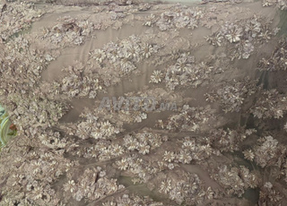 Caftan. Takchita neuve