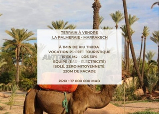 167213-Vente Terrain à Marrakech Palmeraie de 1013