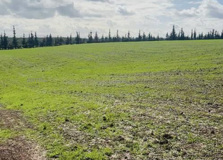 Quatre hectares, bonne affaire complète, 104 millions