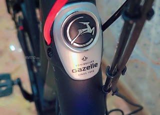 gazelle c8 orange 2024