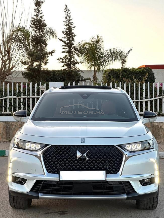 Ds7            