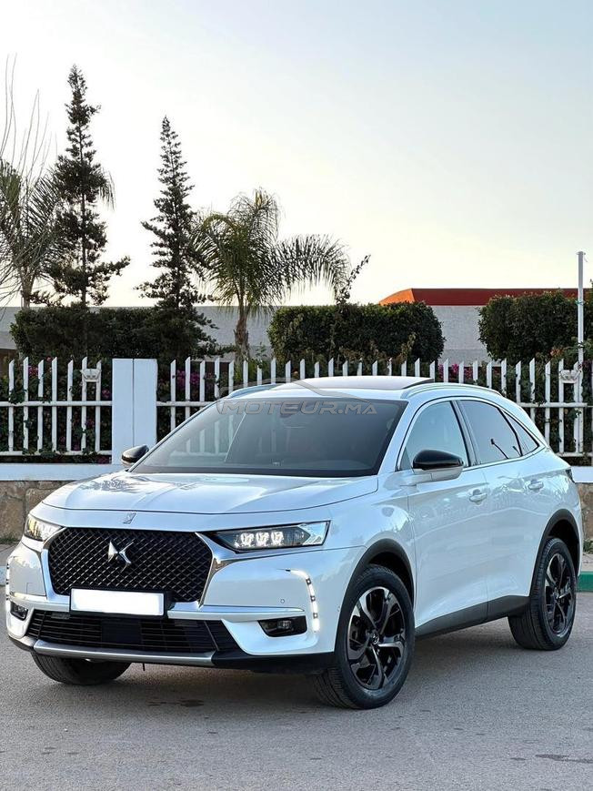 Ds7            