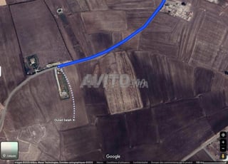 Terrain à vendre région Mediouna Mejjatia Ouled Saleh