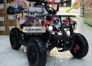 Quad électrique 36V