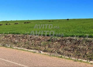 Terrain titré à Sid L Aidi