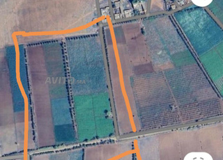 Terrain agricole titré, maison, superficie 2000 mètres, prix réduit