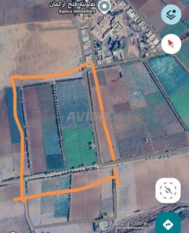 Terrain agricole titré, maison, superficie 2000 mètres, prix réduit