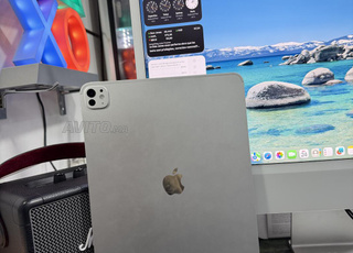 iPad Pro m4 13 pouces 1Tb wifi