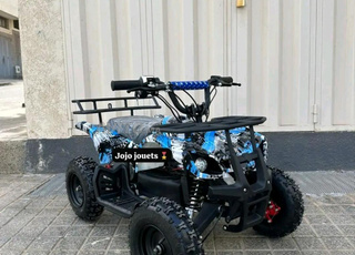 Quad électrique 36V