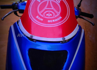 Pejaut 100 Elyseo Moteur propre