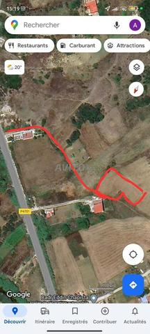 بقعة أرضية مخفضة للبيع القصر الصغير الگزيرة