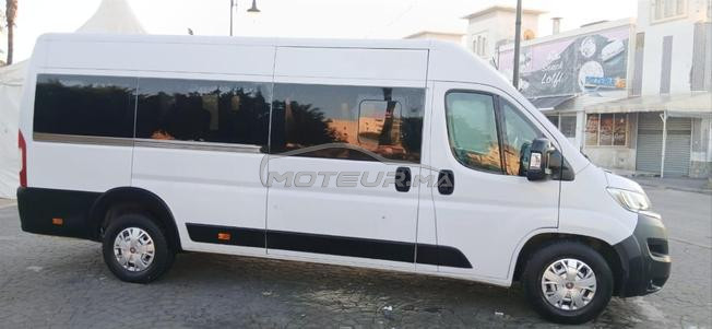 je met en vente fiat ducato très bonne état 
