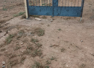 Terrain agricole d'un hectare et quart près de l'aéroport