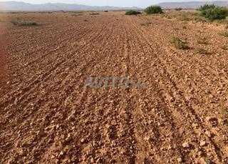 32 هكتار في ريسلان ذو سند ملكية