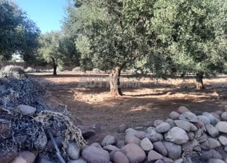 Pour cause de voyage